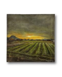 香川の空 2023.04 S3号（273×273mm） Oil on canvas