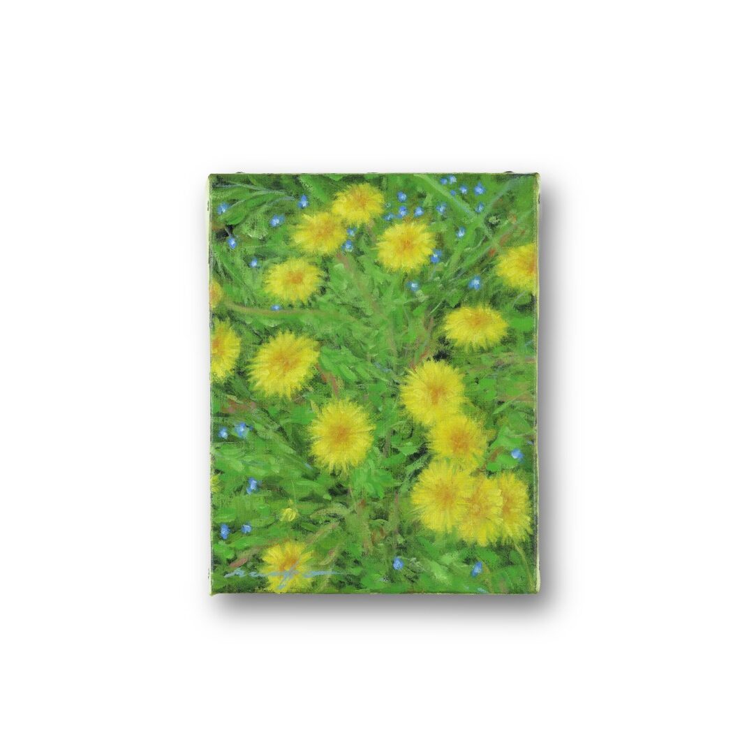 セイヨウタンポポの風景画